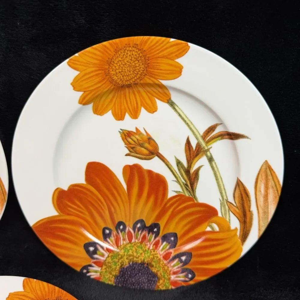 Crate & Barrel Passion Flower Plates Set of 3 Orange Floral 8” Salad Dessert